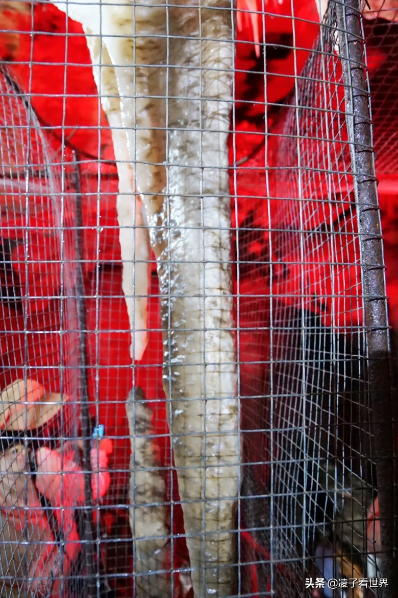 逃离北京40度高温，房山享受22度清凉，看银狐，逛古街吃铁锅炖