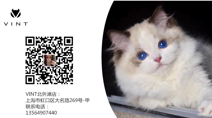 给猫梳毛能防止掉毛吗,给猫梳毛为什么猫会舒服