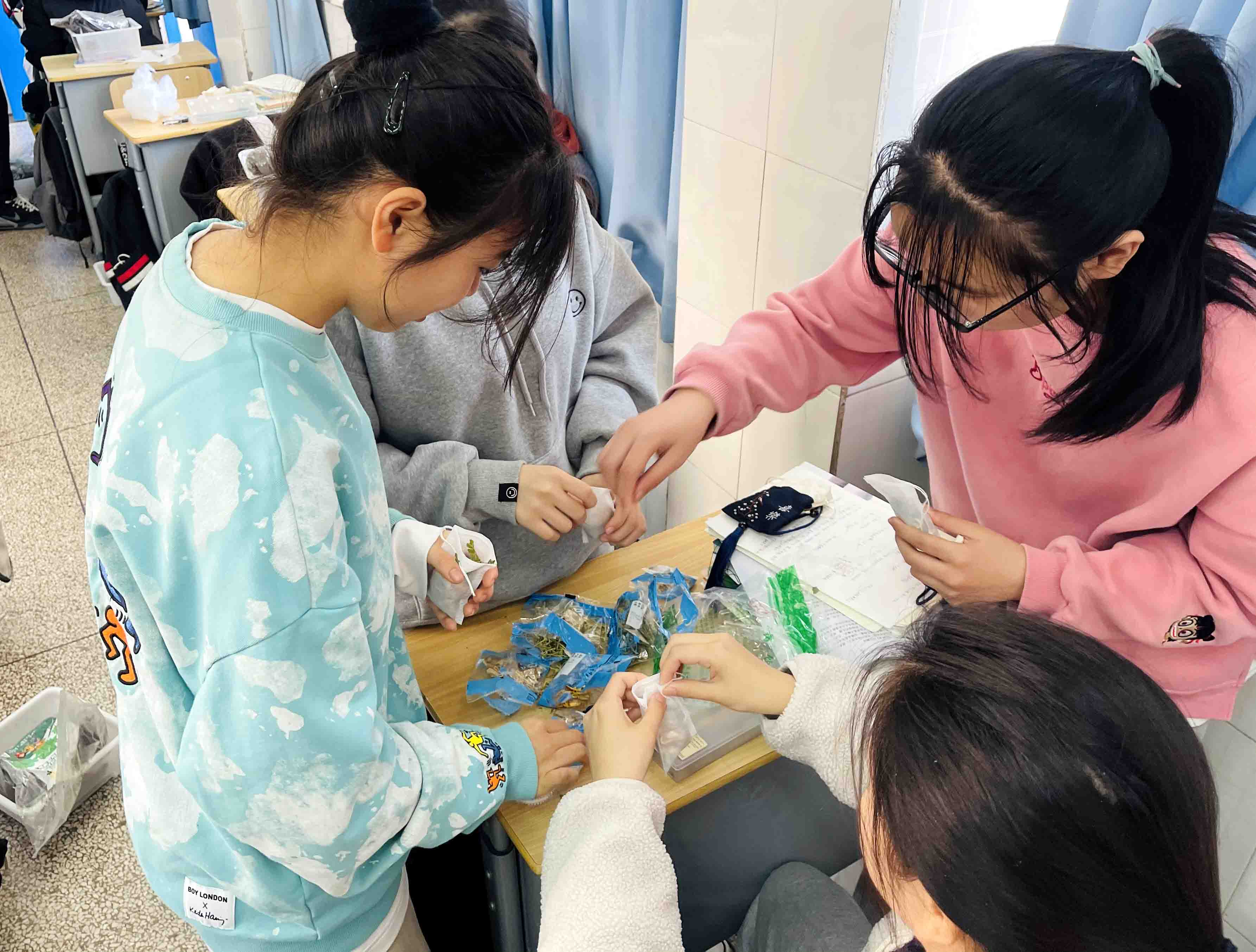 苏州市吴中区迎春中学：中草药文化进校园感受传统文化魅力