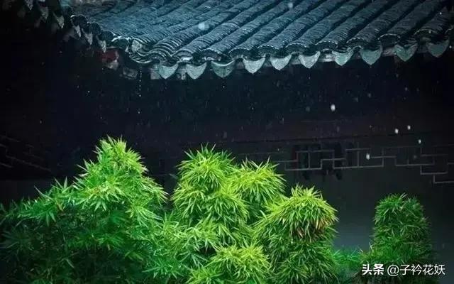 锦衣之下81集番外篇,锦衣之下番外吵架气走今夏