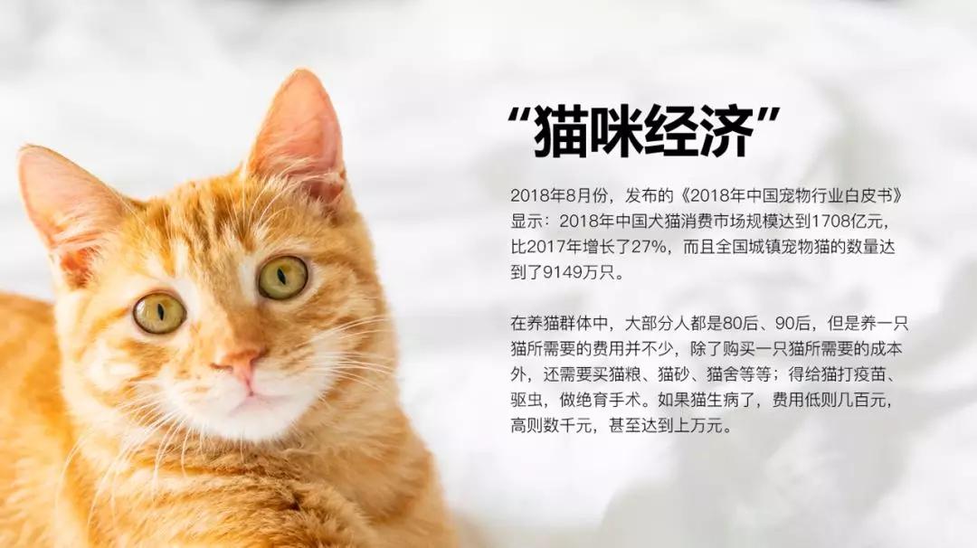 ppt中图片怎么放置好看,ppt中的图片怎么放好看