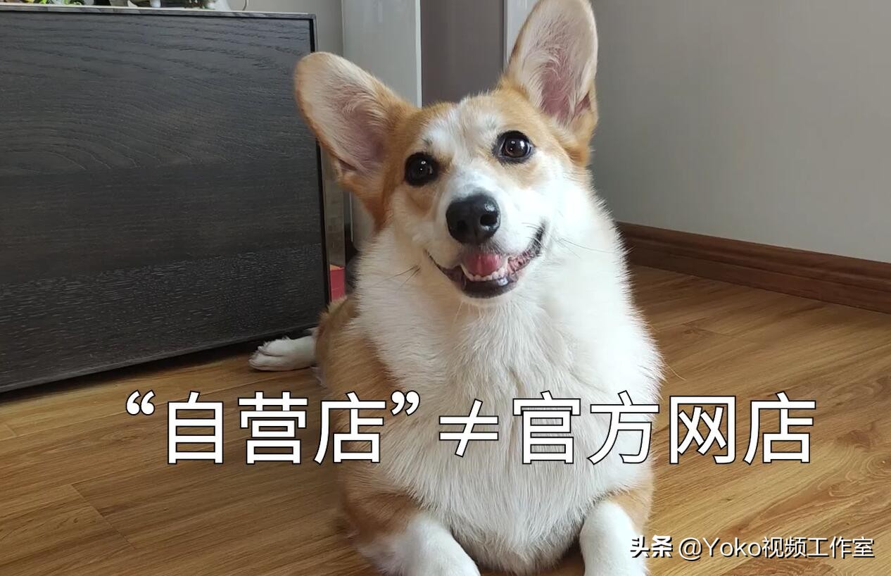 「网购电脑」五条注意事项!拼夕夕百亿补贴靠不靠谱?