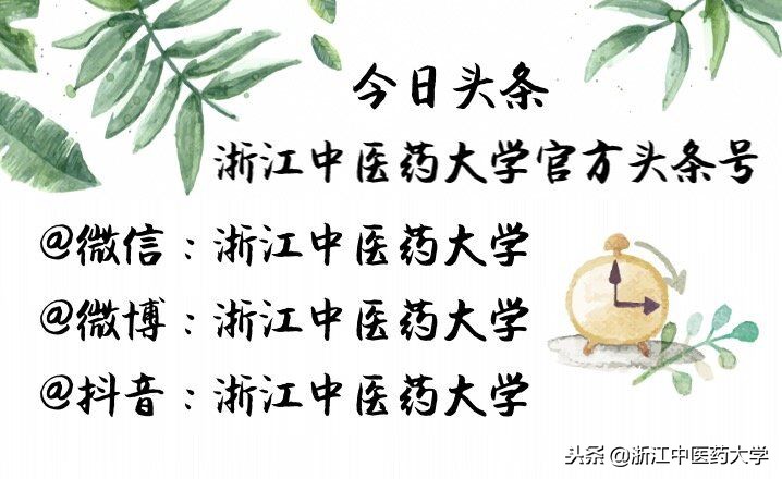 用镜头诉说中医药之美