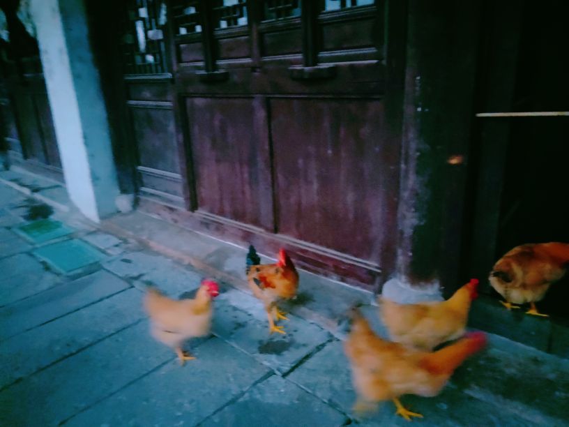 湖州荻港渔村,湖州荻港渔庄风景区