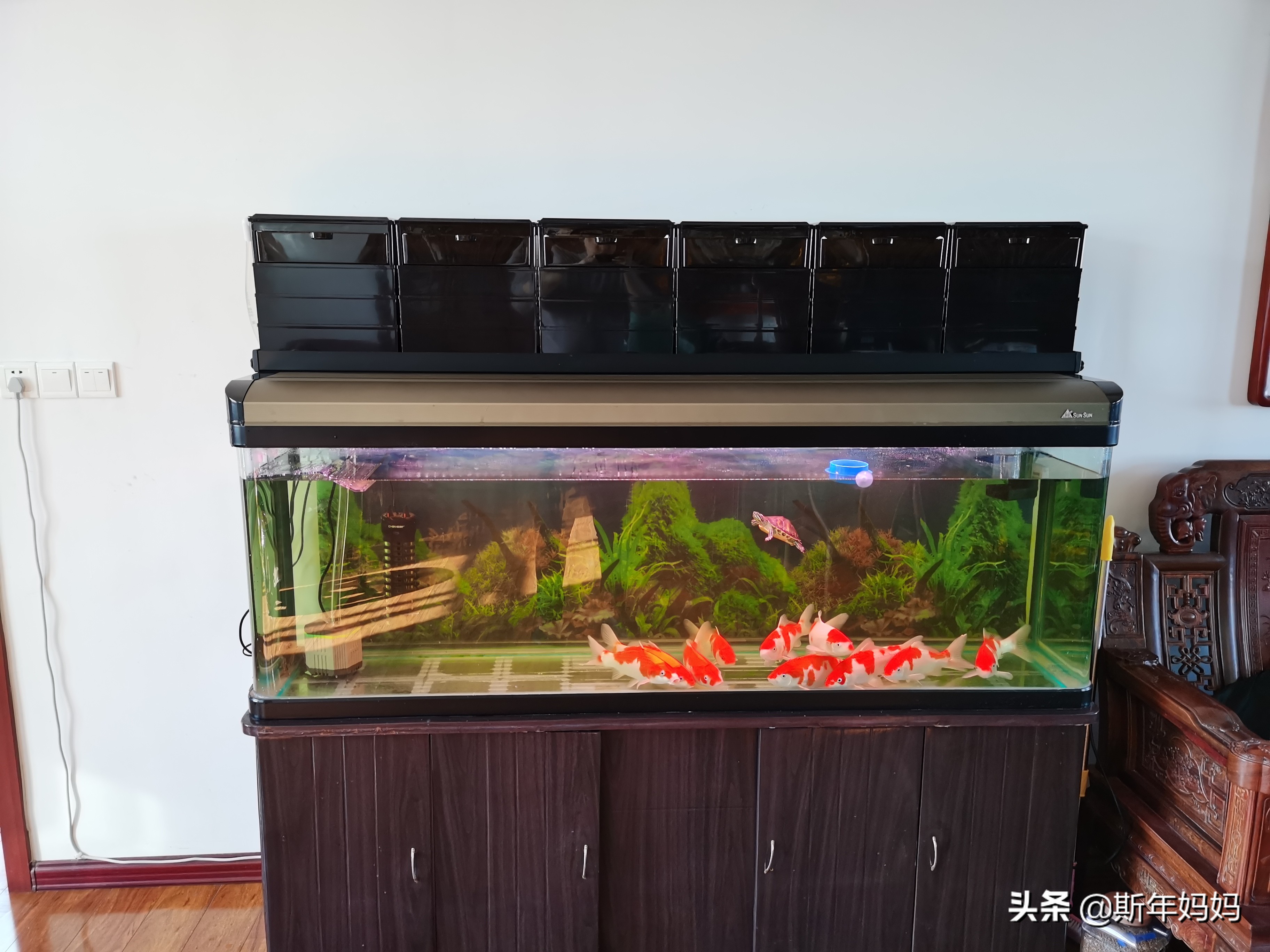 森森鱼缸改上滤滴流盒,森森老款1.8米鱼缸底滤改造