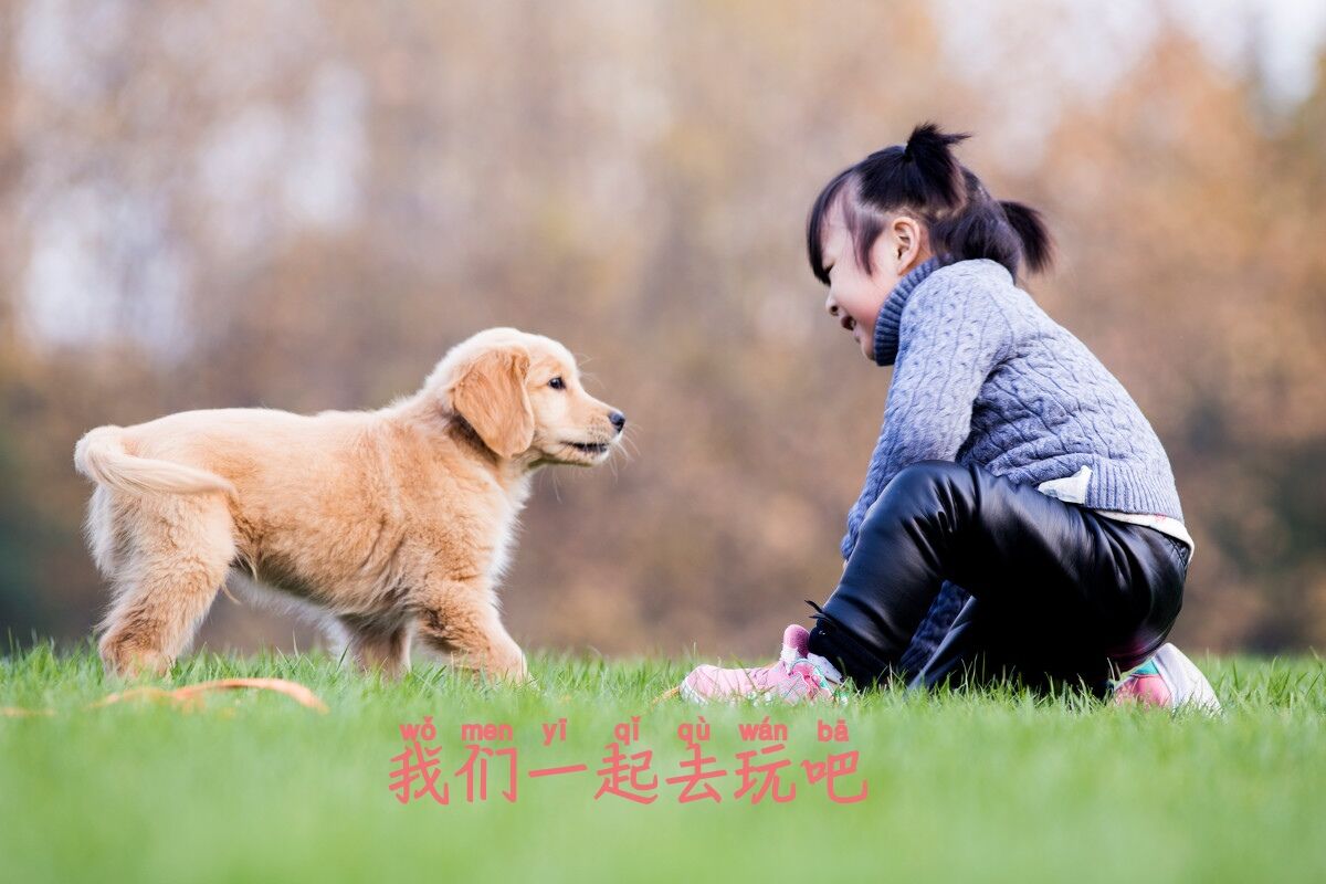 孕妇家里养狗需要注意什么,一个人在家养狗狗需要注意什么