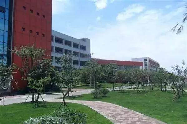 公办小学初中全面开花，龙泉的高中整体实力到底如何？