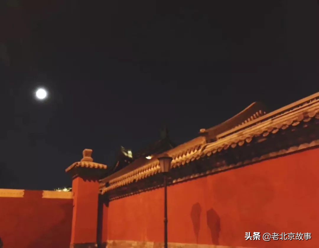 故宫成了动物园,故宫北京动物园