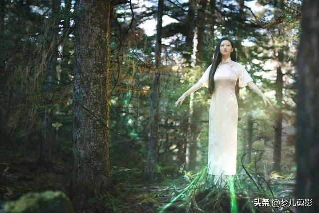 影视界职业:妖、神、佛、鬼、精、魔、怪、精、灵、还有什么职业