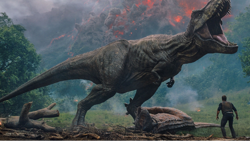 年轻人的早逝，可能是人类消亡的开始，科学实验为何会有如此结论