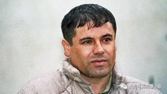 9.8分以上破案的电视剧,9.5分以上破案电视剧