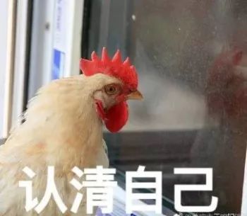 你可能上了个假公学