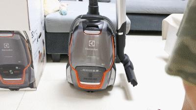 家狗身上痒有脱毛现象怎么办,狗到夏天脱毛特别严重