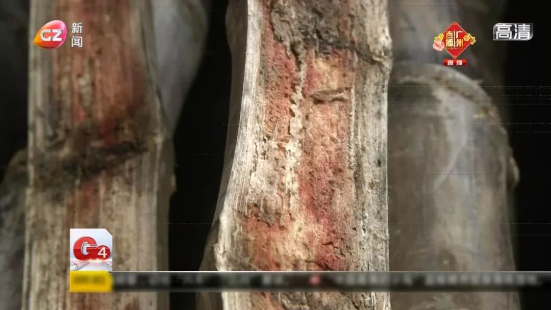 吃甘蔗中毒几天能过去,吃甘蔗中毒事件