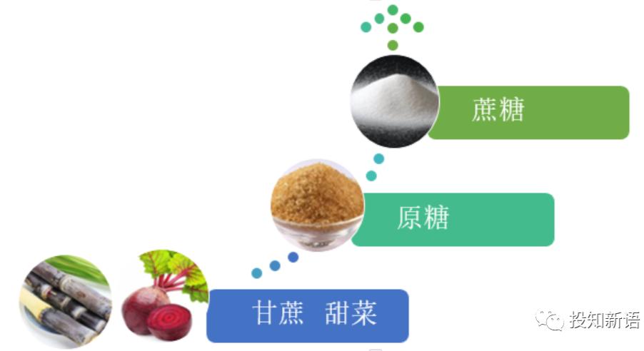 低糖时代到来？解密甜味的进化之路