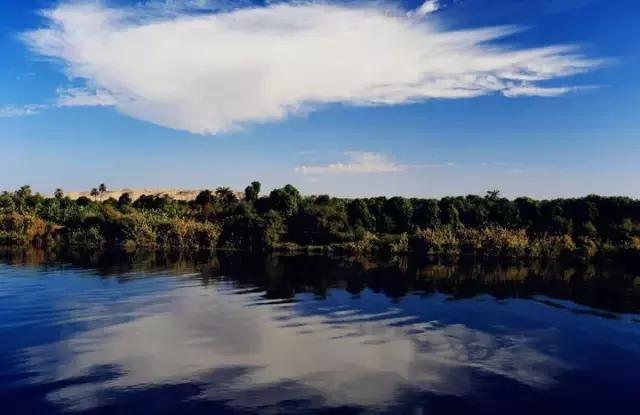 十款斩男香测评,十种斩男香