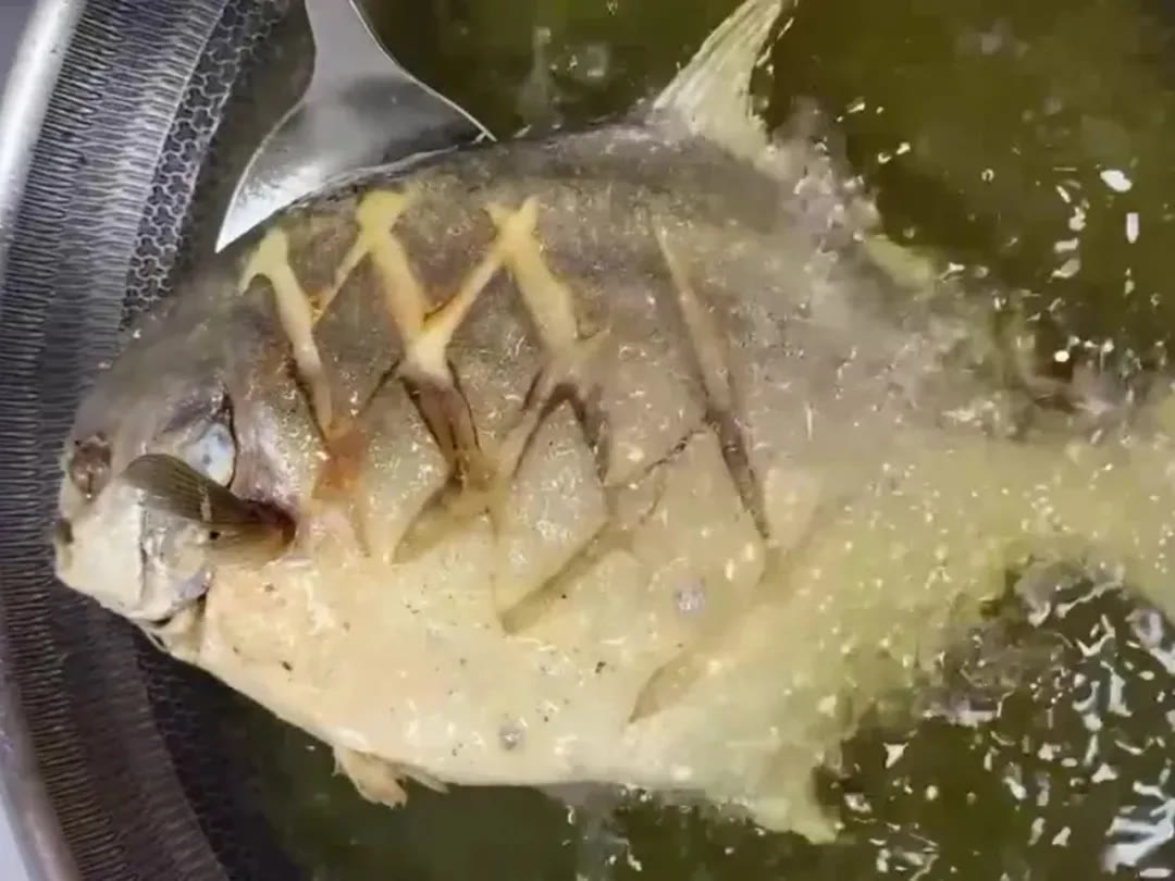 红烧白鲳鱼徐州做法,红烧淡水白鲳鱼的做法大全