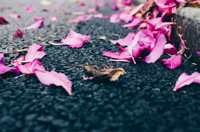 晏殊的离别,晏殊离别的词句