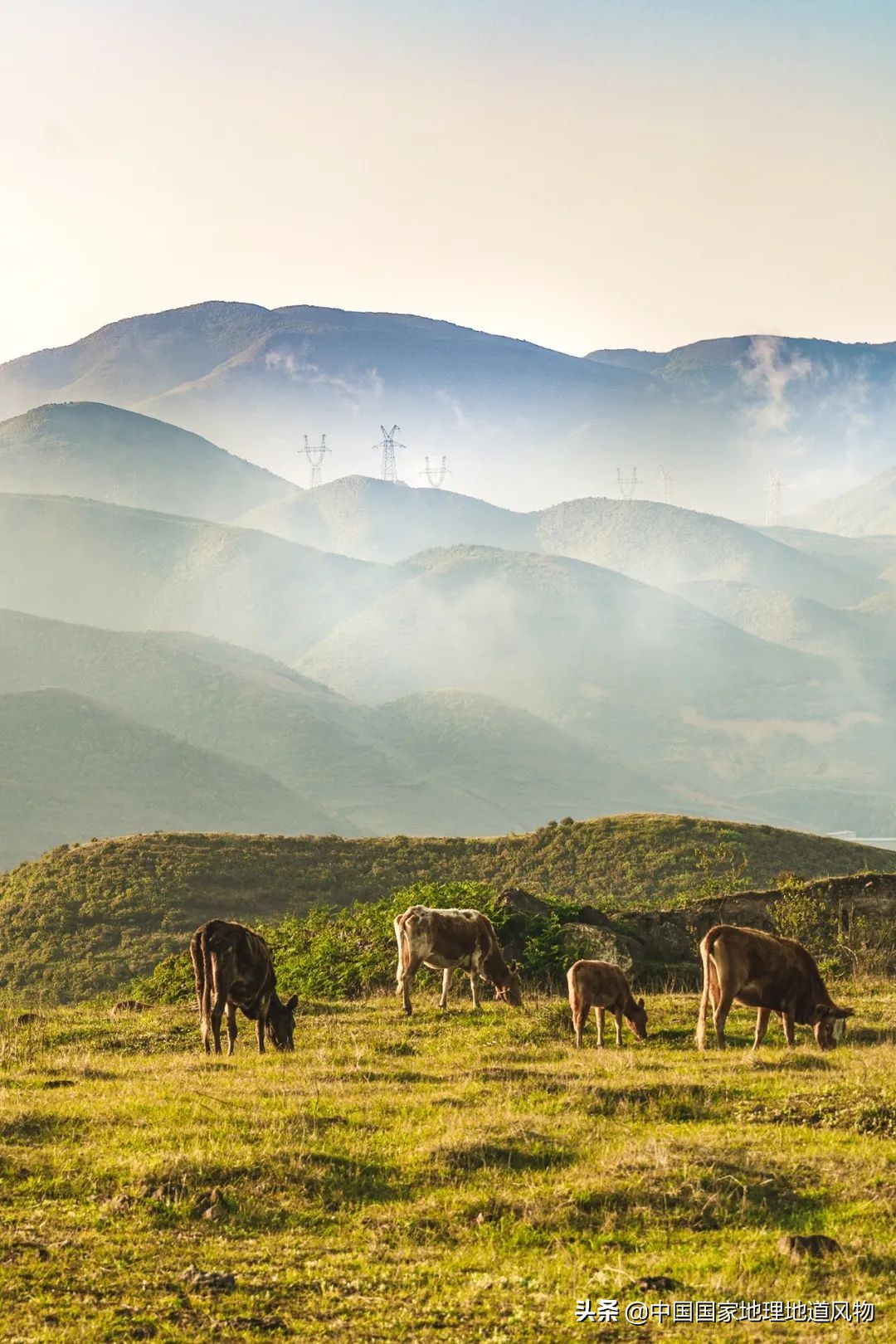 中国凉都六盘水完整视频,中国凉都六盘水气候宜人