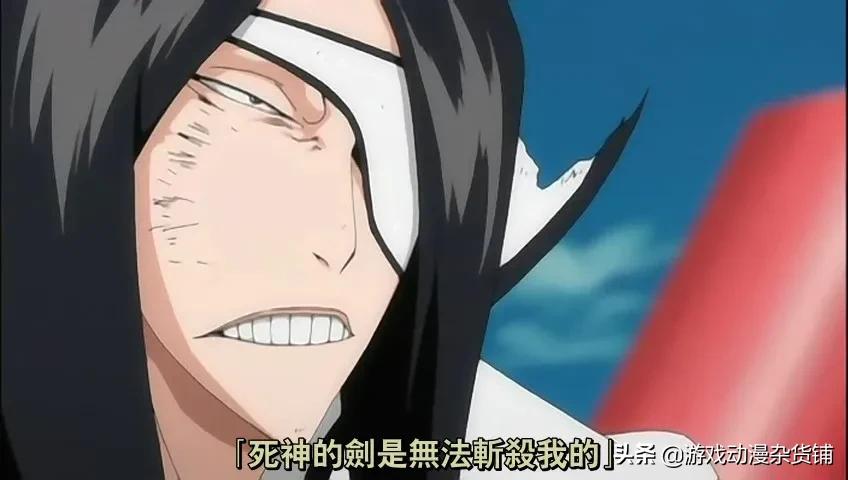 bleach死神十刃归刃,bleach死神所有卍解