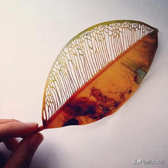 最失败的垃圾分类,目前常用的垃圾分类