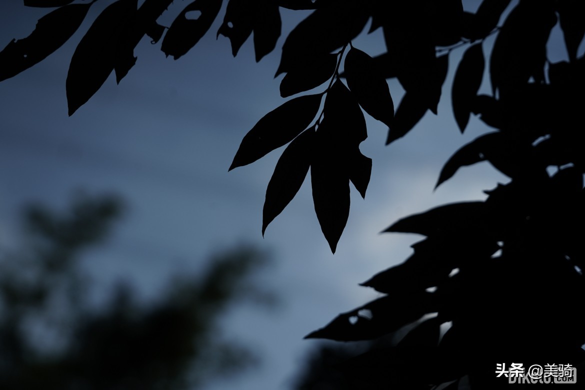 冒险砾石公路车评测,闪电公路车s-workssl7入门级