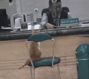 哈哈哈哈哈哈我笑到我妈把鞋塞我嘴里