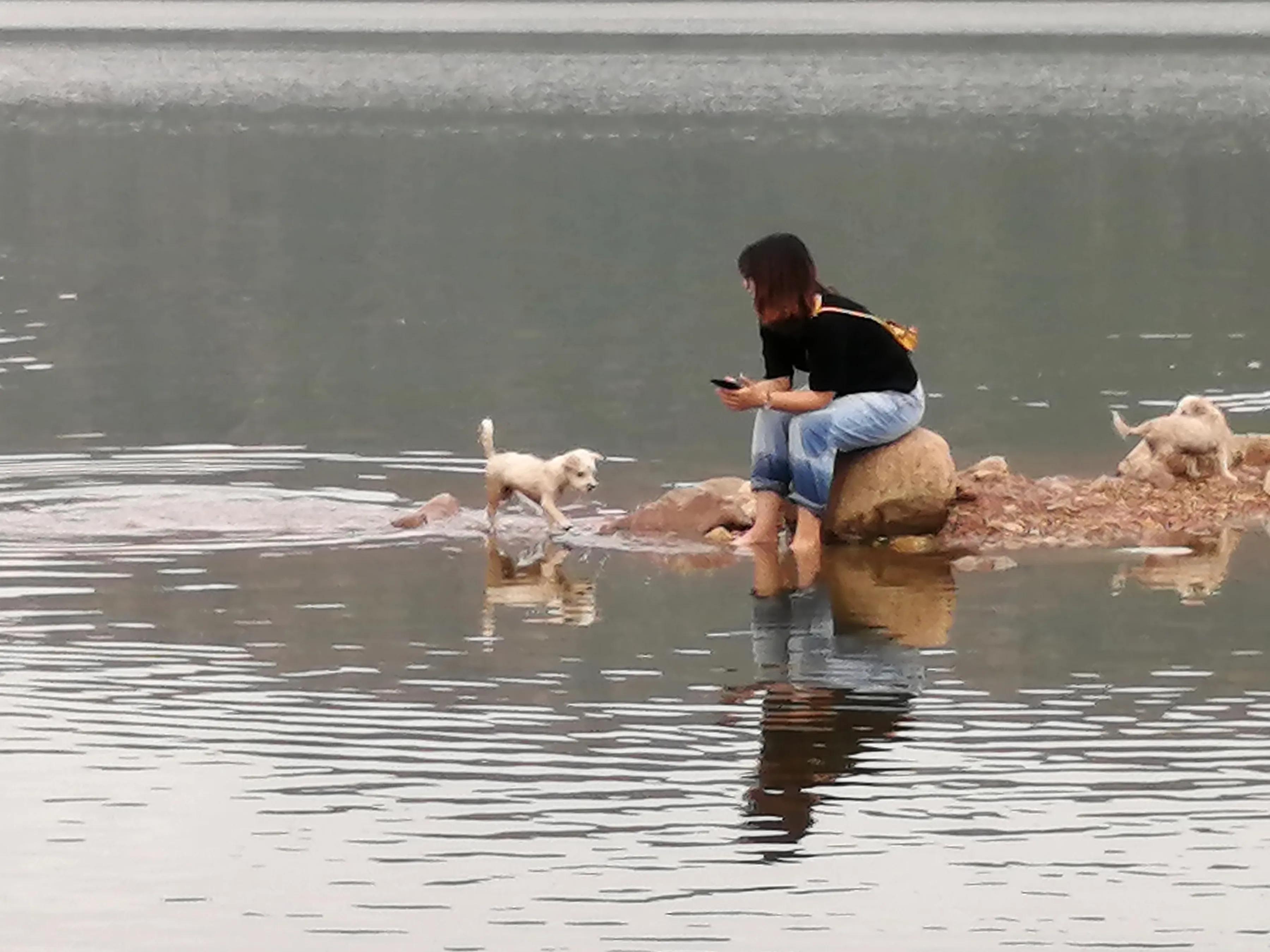 手机摄影作品集大全集,手摄世界