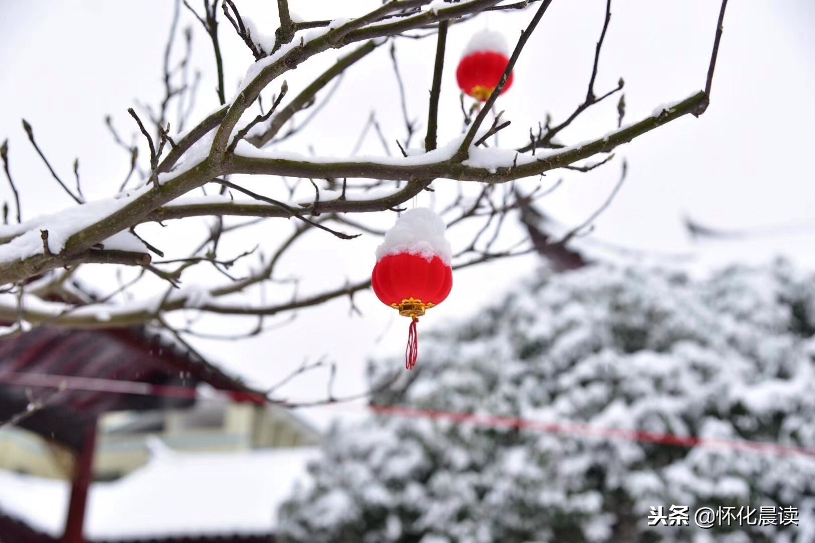 一场雪惊艳了一座城视频,一场雪激发了多少创造力