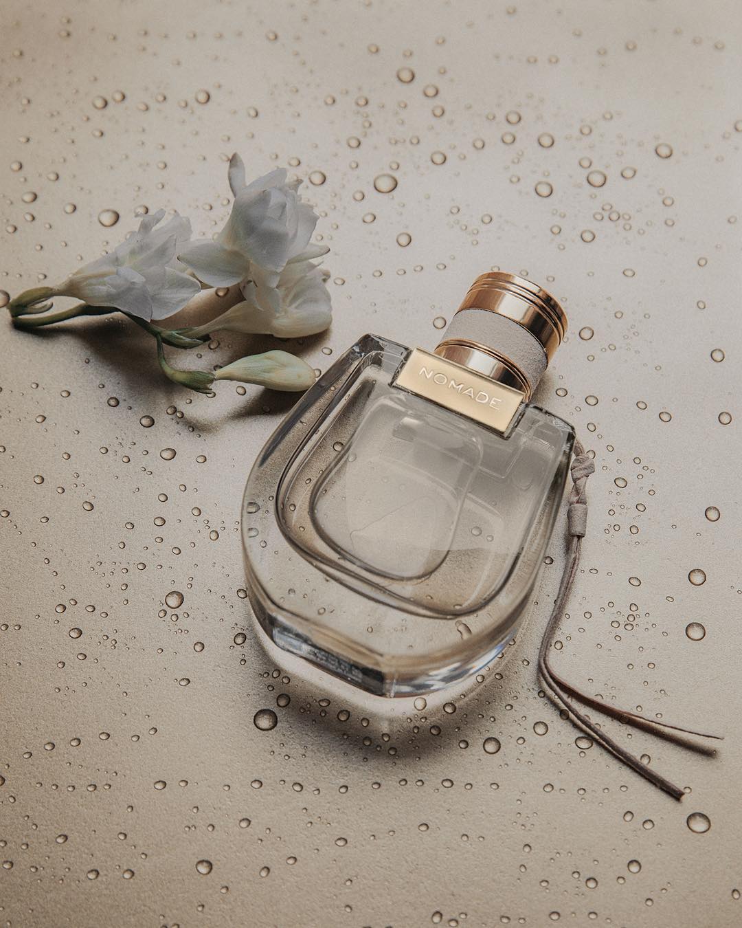 杨幂、唐嫣、古力娜扎人手一只、自带C位效应的CHLOE是什么牌子?