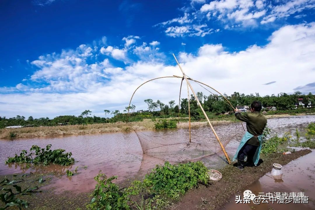 岳池坪滩风景区,行走的风景岳池