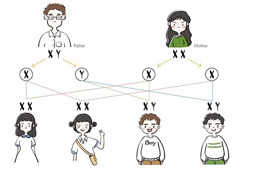 性别不止男女？让双性人和变性人参加奥运会，对其他选手公平吗？