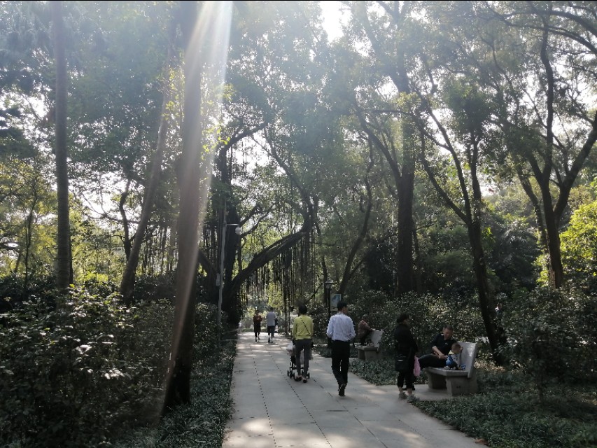 黄花岗公园图片大全,黄花岗公园门票多少钱