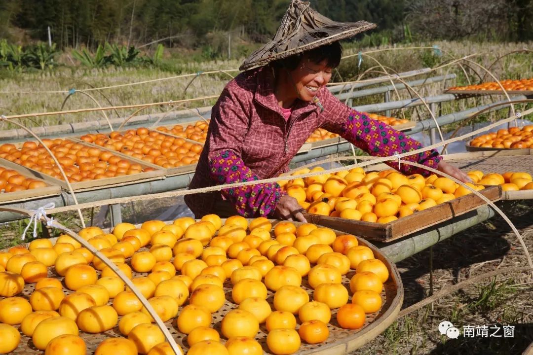 漳州南靖：有一种美，叫秋天的南靖