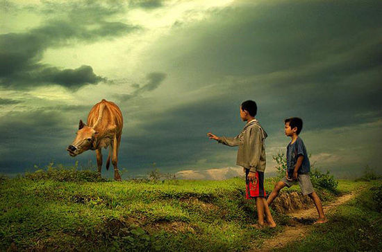 人到中年才懂得:马致远的真正好作品是《四块玉·恬退》