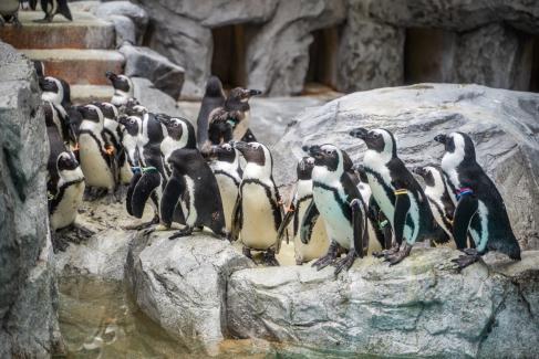 日本九州|一个被温泉唤醒的秘境，超超超小众的日本旅行目的地