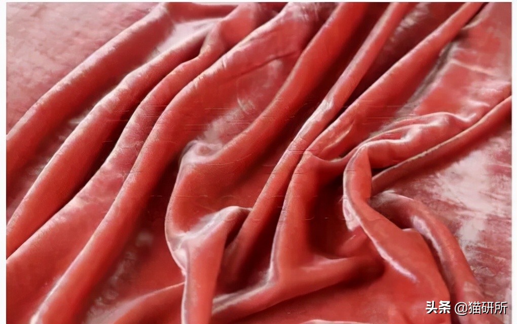 怎么惩罚猫咪挠沙发,猫咪不会挠坏的沙发