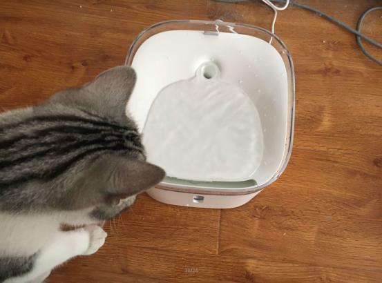 小顽饮水机质量怎么样,小熊小型饮水机测评