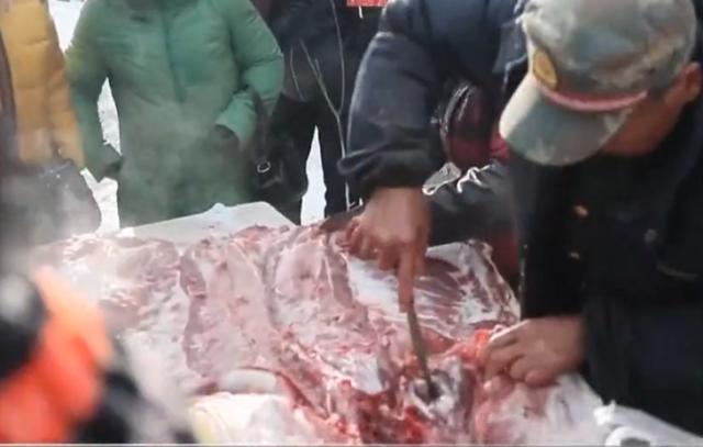 过了腊八就是年，看看东北如何杀年猪吃美食过大年？最浓厚的年味