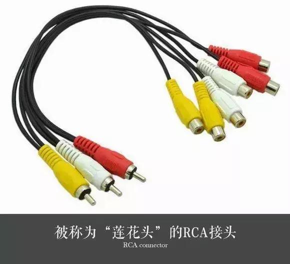 干货有哪些内容,干货的内容有哪些