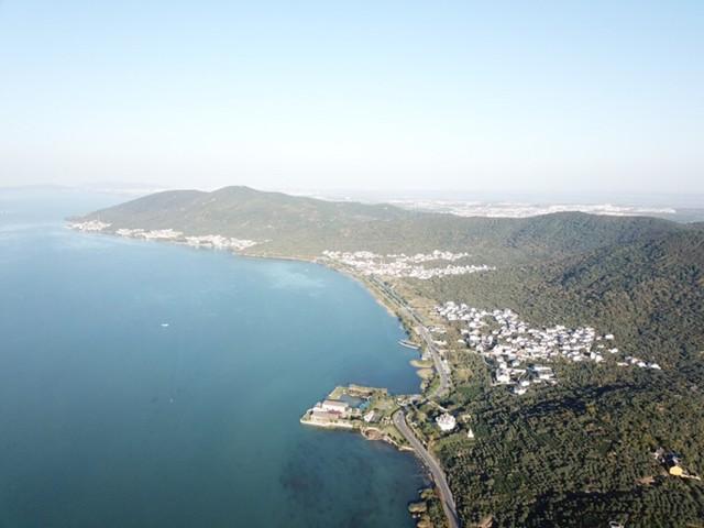 碧螺春茶叶知识,碧螺春茶知识介绍