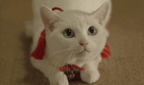 一个抑郁症患者的自救电影,一个重度抑郁症患者的自我救赎