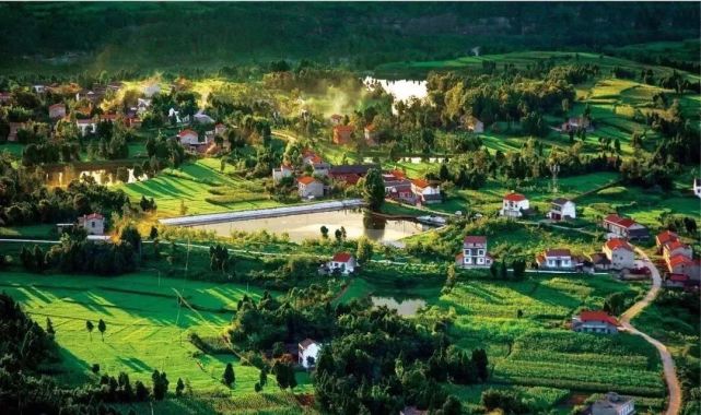 新泰市小型水库管理体制改革方案,四川省水库管理体制