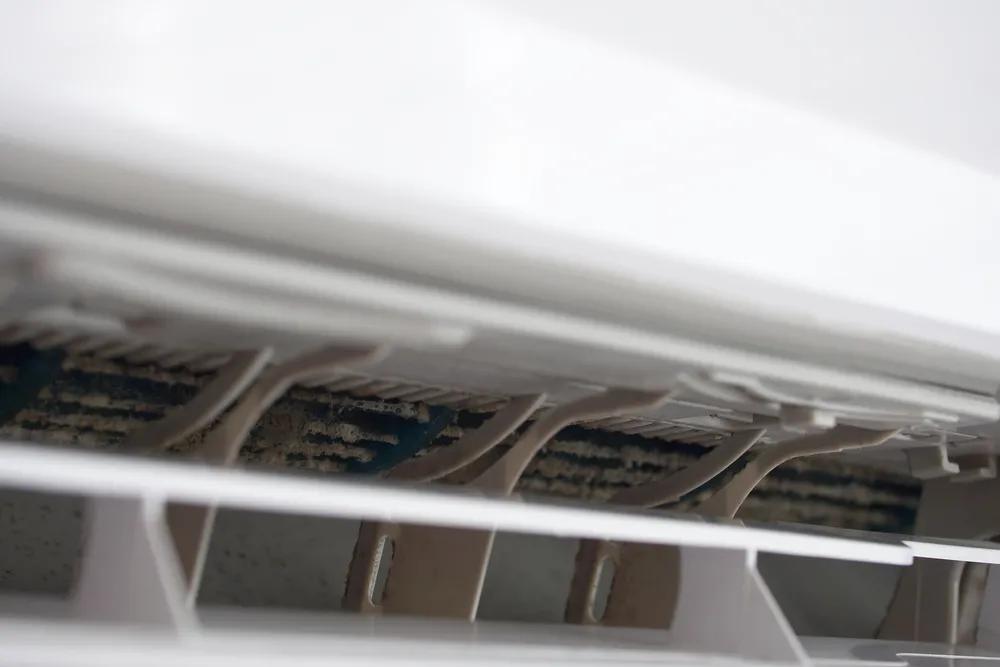 南方潮湿霉菌怎么杀灭,家里被子怎么消除霉菌