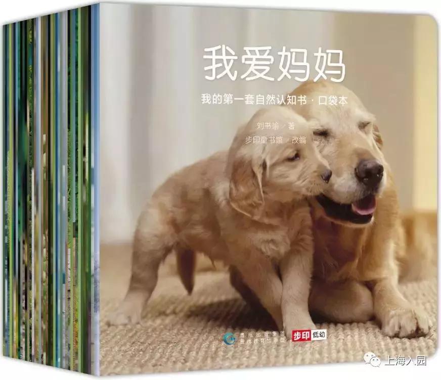 入园必备！10套热门幼儿启蒙书籍，公文七田真逻辑狗，疯狂热卖