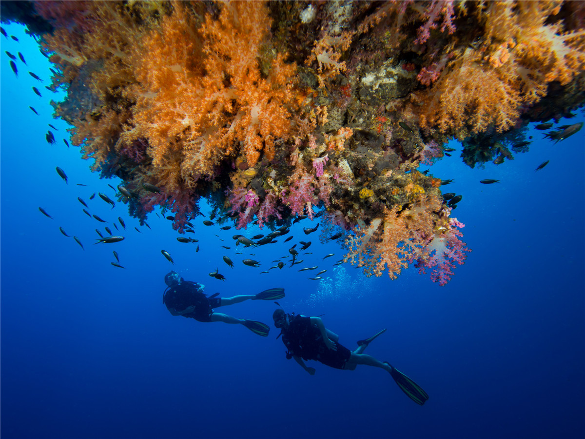 泰国第一潜水胜地,泰国最漂亮潜水岛屿
