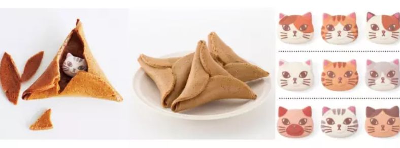 360度“云吸猫”？日本这家猫咪商店简直爱了