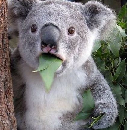 python零基础入门制作一个程序,如何快速学会python开发