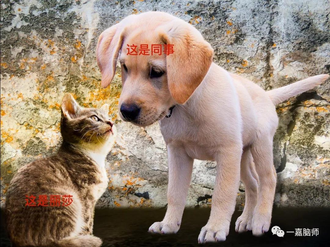 掌握情绪宣泄的简单方法,掌握情绪调节技巧增强自我控制力