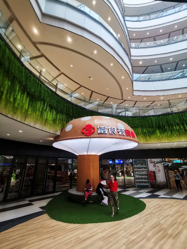 徐州苏杭春晓绿地缤纷城,真如绿地缤纷城